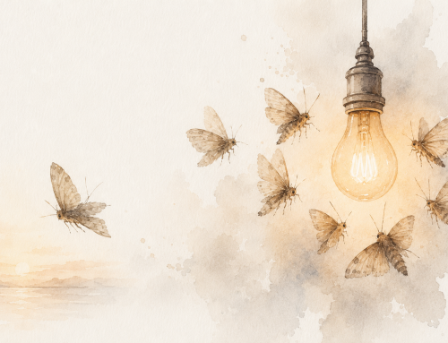 LE FALSE WIN E L’ILLUSIONE DI COMPETENZA